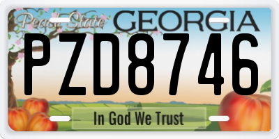 GA license plate PZD8746