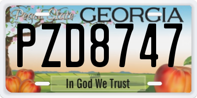 GA license plate PZD8747