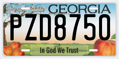 GA license plate PZD8750