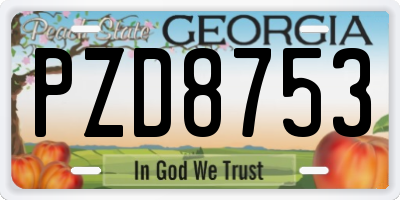 GA license plate PZD8753