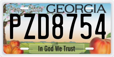 GA license plate PZD8754