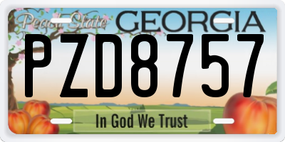 GA license plate PZD8757