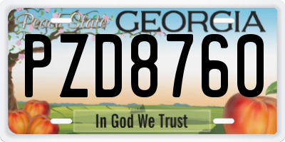 GA license plate PZD8760