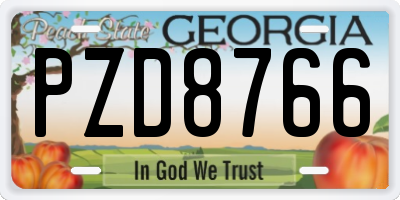 GA license plate PZD8766