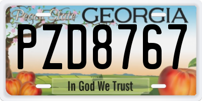 GA license plate PZD8767