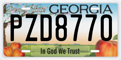 GA license plate PZD8770