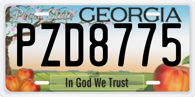 GA license plate PZD8775