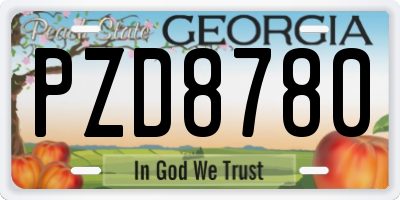 GA license plate PZD8780