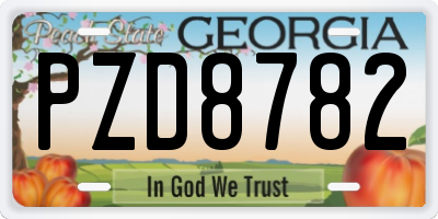 GA license plate PZD8782