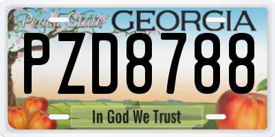 GA license plate PZD8788