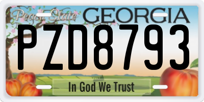 GA license plate PZD8793