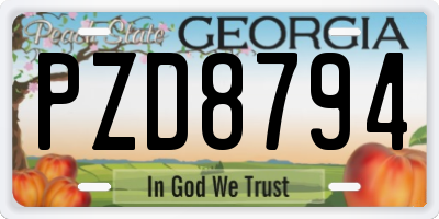 GA license plate PZD8794