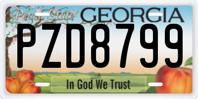 GA license plate PZD8799