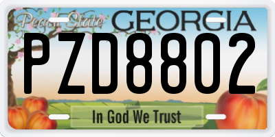 GA license plate PZD8802