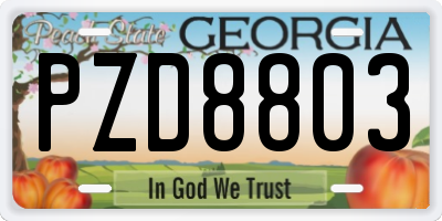 GA license plate PZD8803