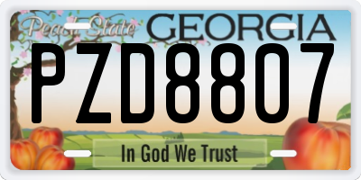 GA license plate PZD8807