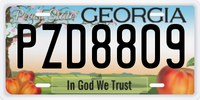GA license plate PZD8809