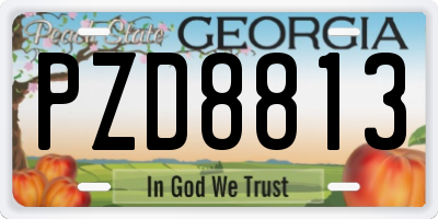 GA license plate PZD8813