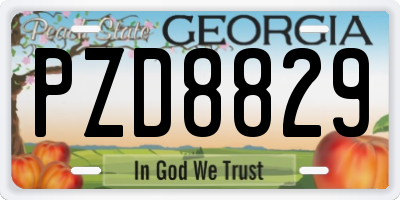 GA license plate PZD8829