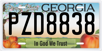 GA license plate PZD8838