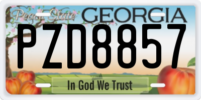 GA license plate PZD8857