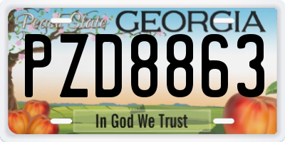 GA license plate PZD8863