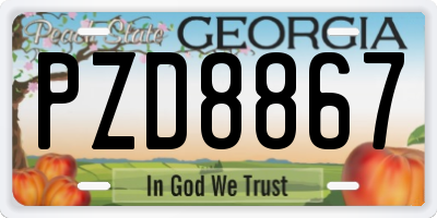 GA license plate PZD8867