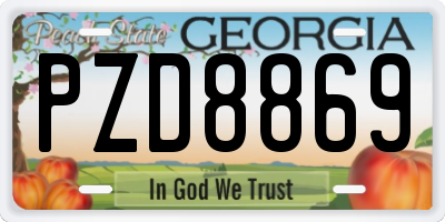 GA license plate PZD8869