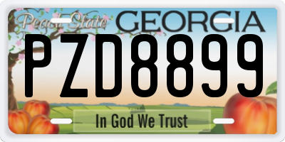 GA license plate PZD8899