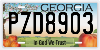GA license plate PZD8903