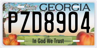 GA license plate PZD8904