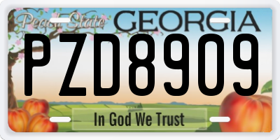 GA license plate PZD8909