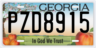 GA license plate PZD8915