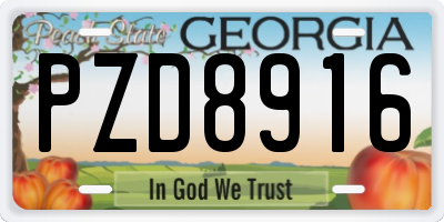 GA license plate PZD8916