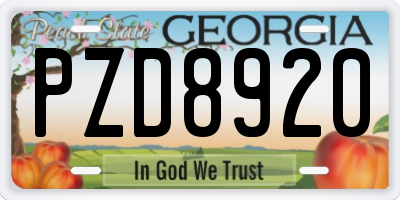 GA license plate PZD8920