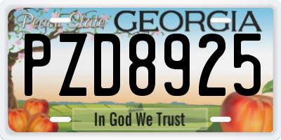 GA license plate PZD8925