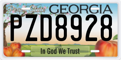 GA license plate PZD8928
