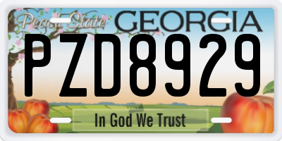 GA license plate PZD8929