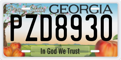 GA license plate PZD8930