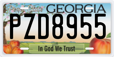 GA license plate PZD8955