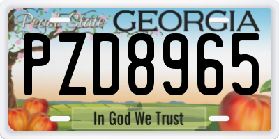 GA license plate PZD8965