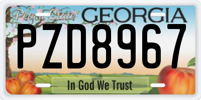 GA license plate PZD8967