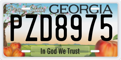 GA license plate PZD8975
