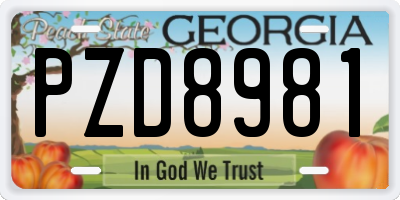 GA license plate PZD8981