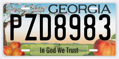 GA license plate PZD8983