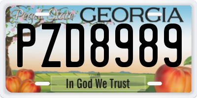 GA license plate PZD8989