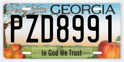 GA license plate PZD8991