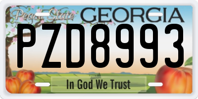 GA license plate PZD8993