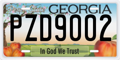 GA license plate PZD9002