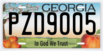 GA license plate PZD9005
